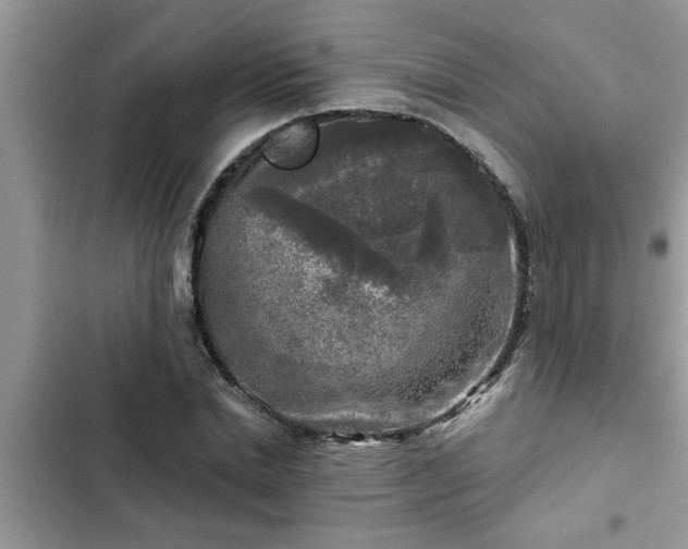 X0000102540830200808151641