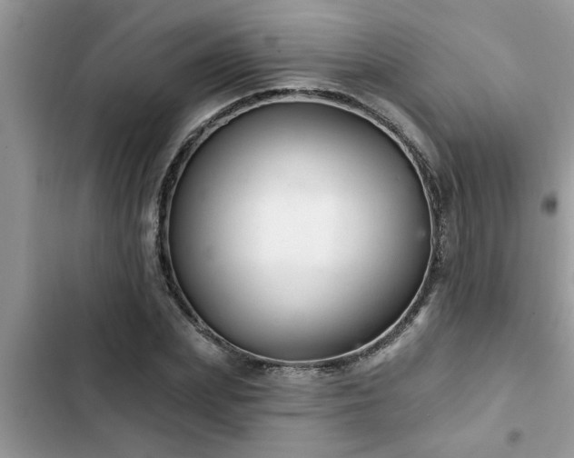 X0000102540831200808151641