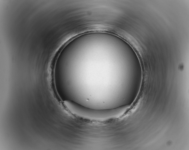 X0000102540835200808151641