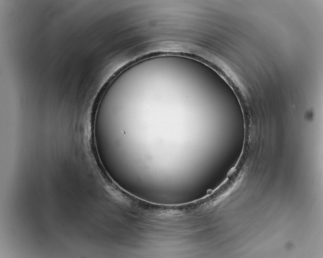 X0000102540837200808151641