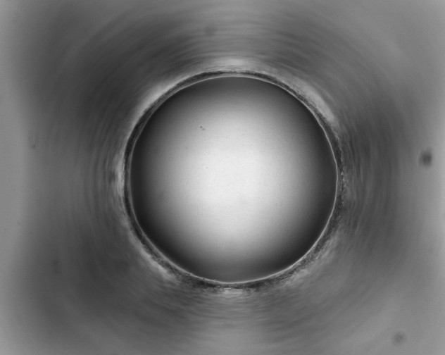 X0000102540839200808151641
