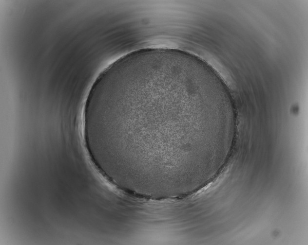 X0000102540840200808151641