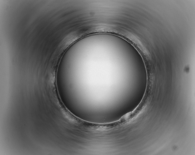 X0000102540841200808151641