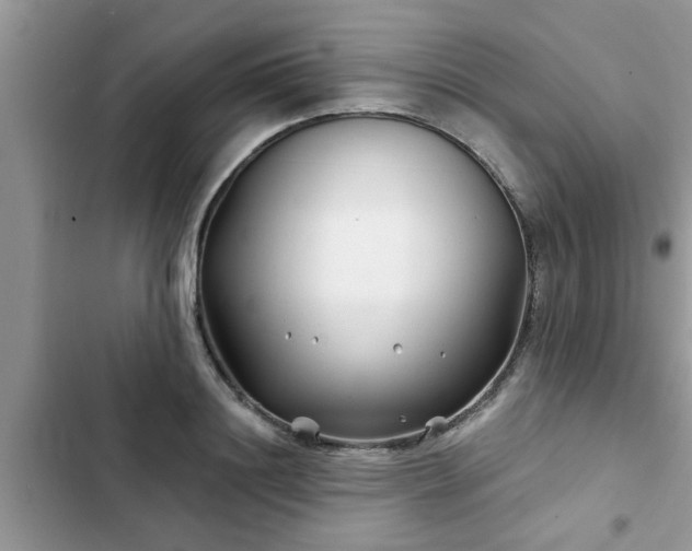 X0000102540844200808151641