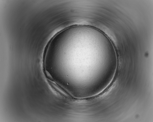 X0000102540845200808151641