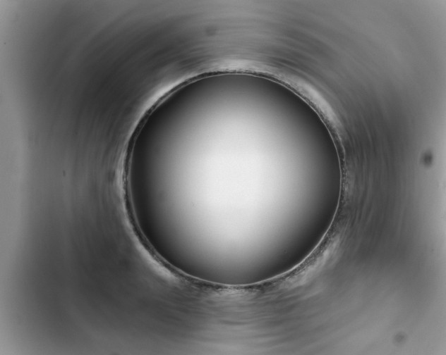X0000102540847200808151641