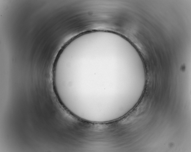X0000102540848200808151641