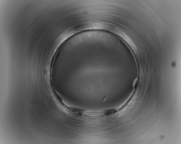 X0000102540850200808151641