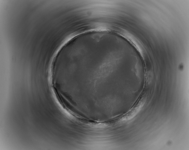 X0000102540851200808151641