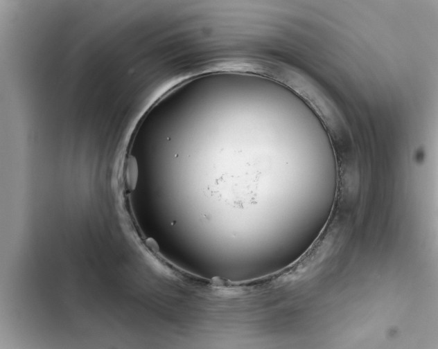 X0000102540852200808151641