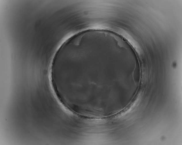 X0000102540853200808151641