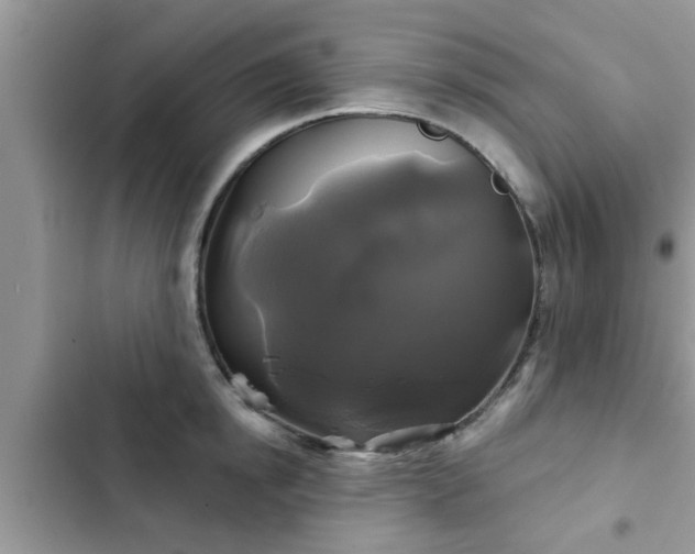 X0000102540854200808151641