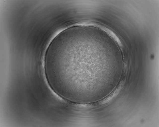 X0000102540855200808151641