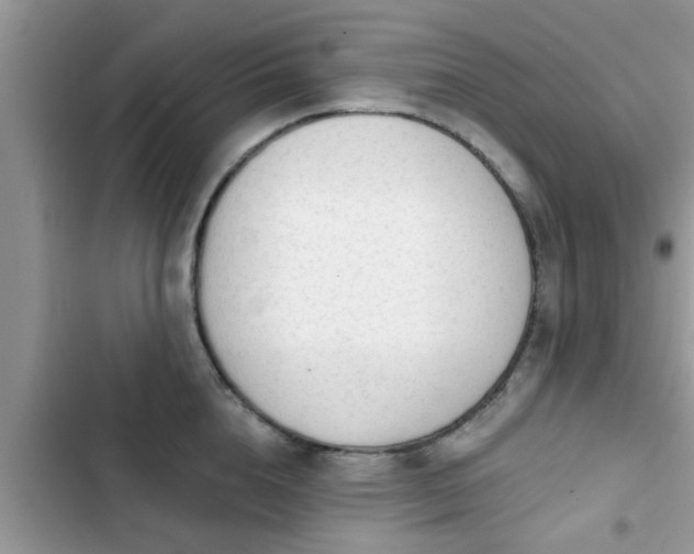 X0000102540856200808151641