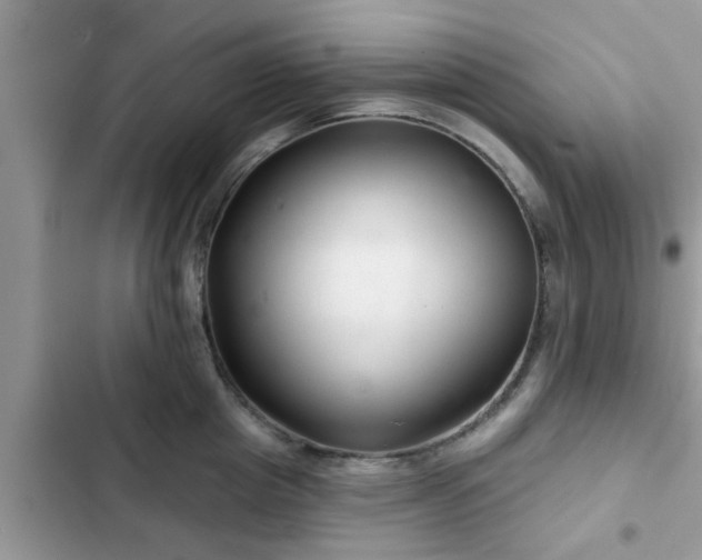 X0000102540857200808151641