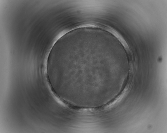 X0000102540858200808151641