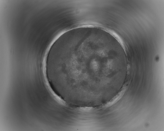 X0000102540859200808151641