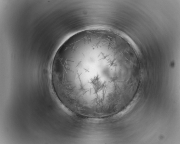 X0000102540860200808151641