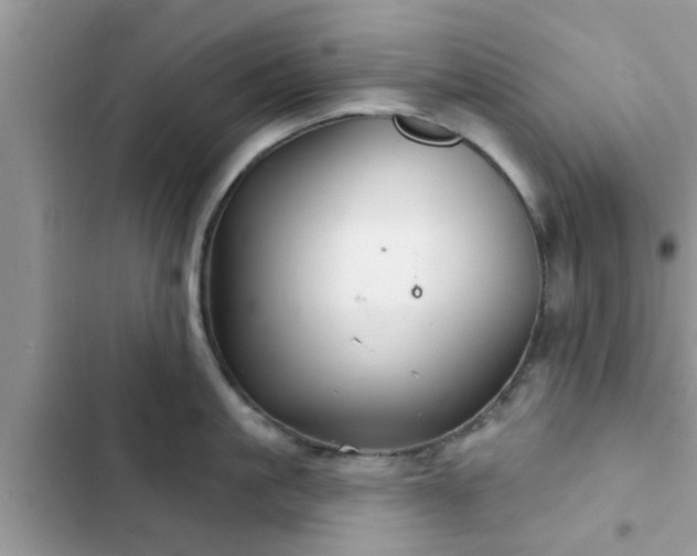 X0000102540861200808151641