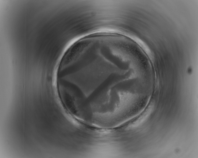 X0000102540862200808151641