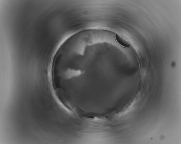 X0000102540863200808151641