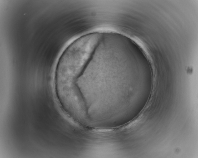 X0000102540864200808151641