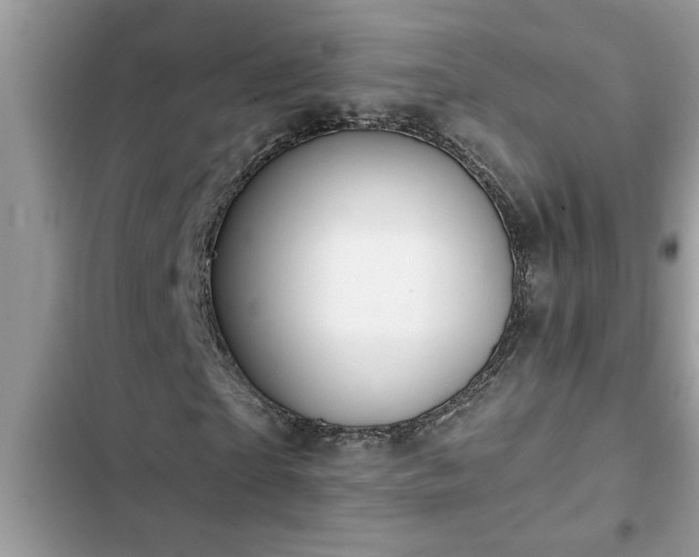 X0000102540865200808151640