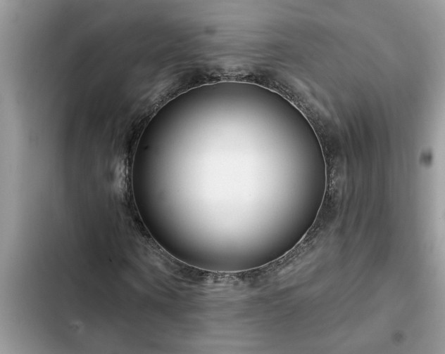 X0000102540866200808151640