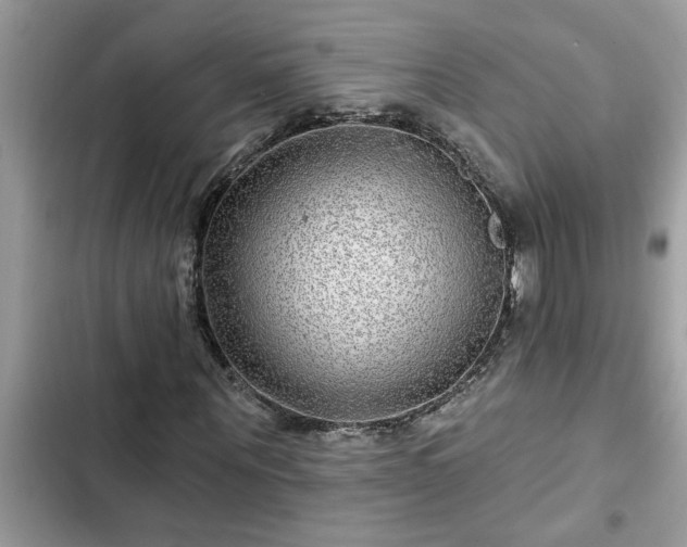 X0000102540867200808151640