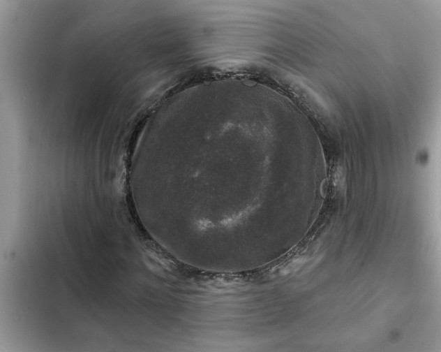 X0000102540868200808151640