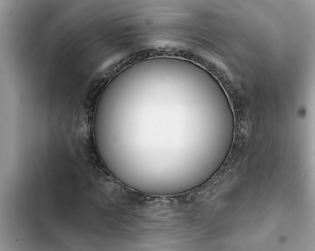 X0000102540869200808151640