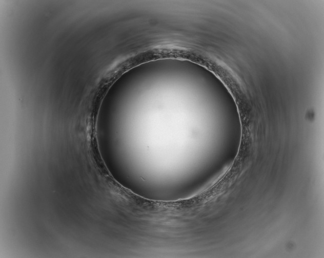 X0000102540870200808151640