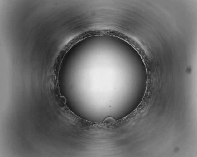 X0000102540871200808151640