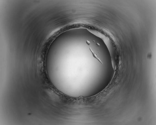 X0000102540872200808151640