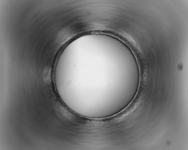 X0000102540873200808151640