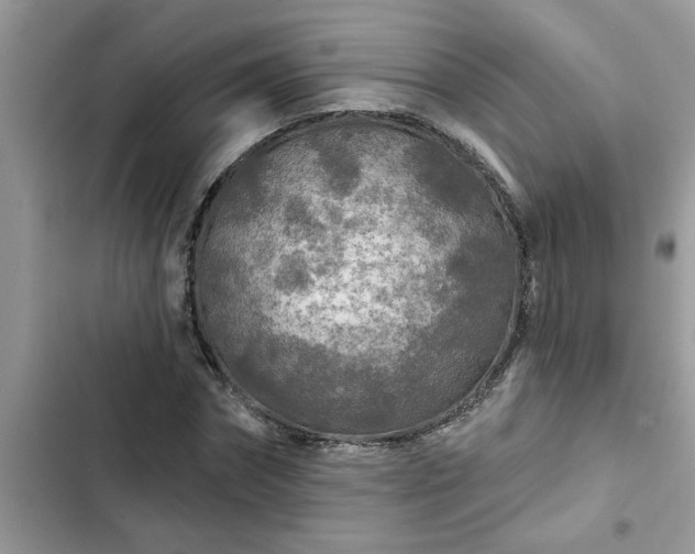 X0000102540874200808151640