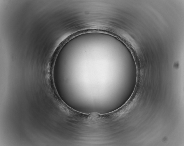 X0000102540875200808151640