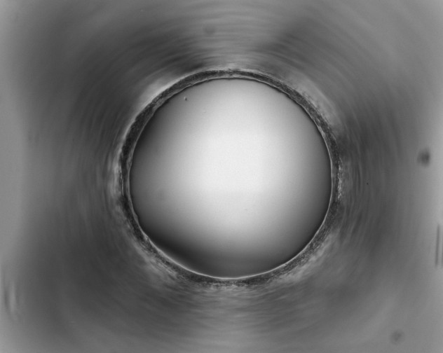 X0000102540876200808151640