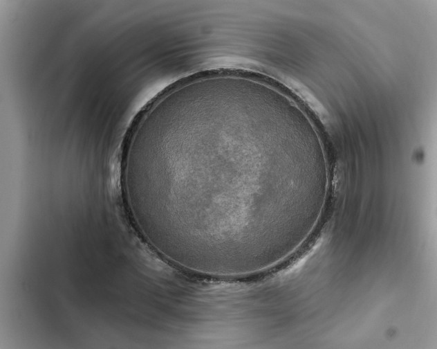 X0000102540877200808151640