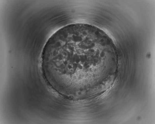 X0000102540879200808151640