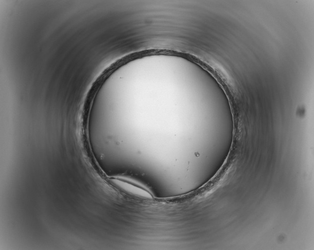 X0000102540880200808151640