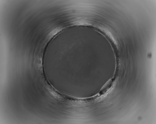 X0000102540881200808151640