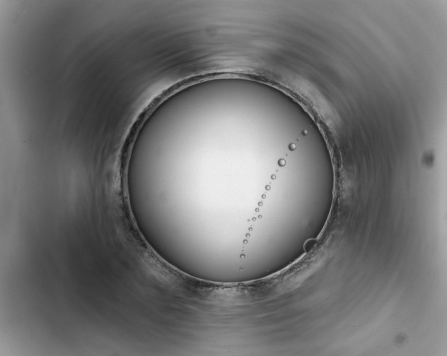 X0000102540883200808151640