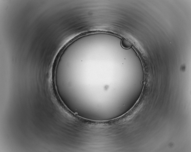 X0000102540884200808151640