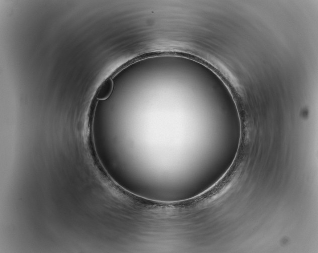 X0000102540885200808151640