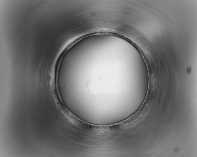 X0000102540886200808151640