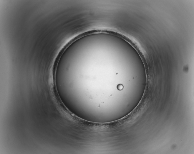X0000102540887200808151640