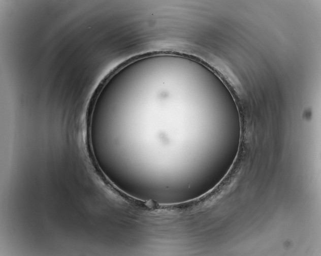X0000102540888200808151640