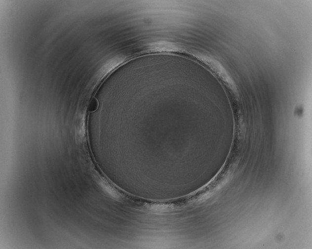 X0000102540889200808151640