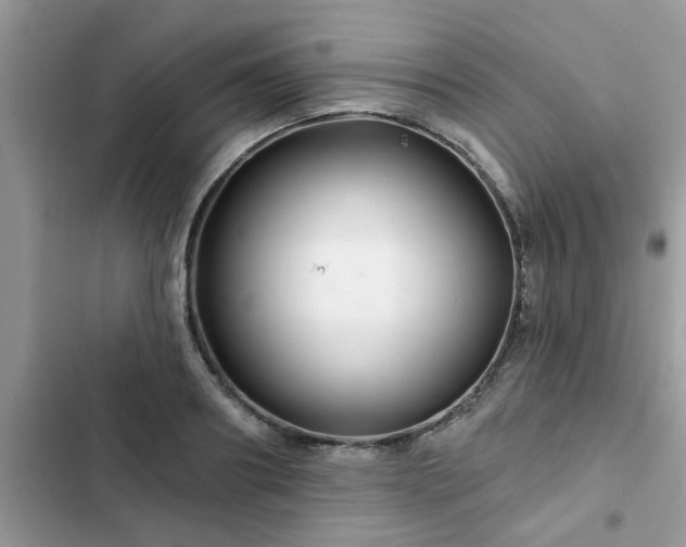X0000102540890200808151640